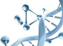 Image of DNA double helix