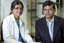 Photo of Sujatha Kannan, M.B.B.S. (left) and Rangaramanujam M. Kannan, PhD, MS (right)